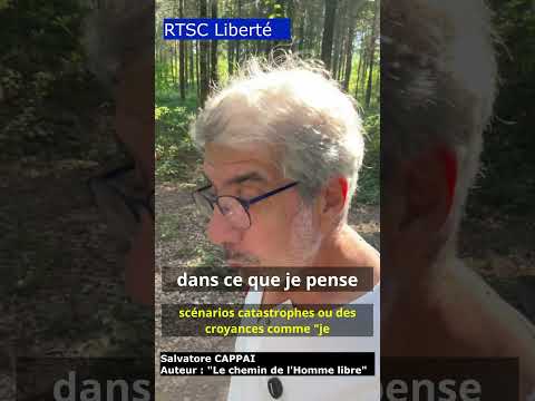 #4 — Comment voir le garde du corps à l'œuvre
